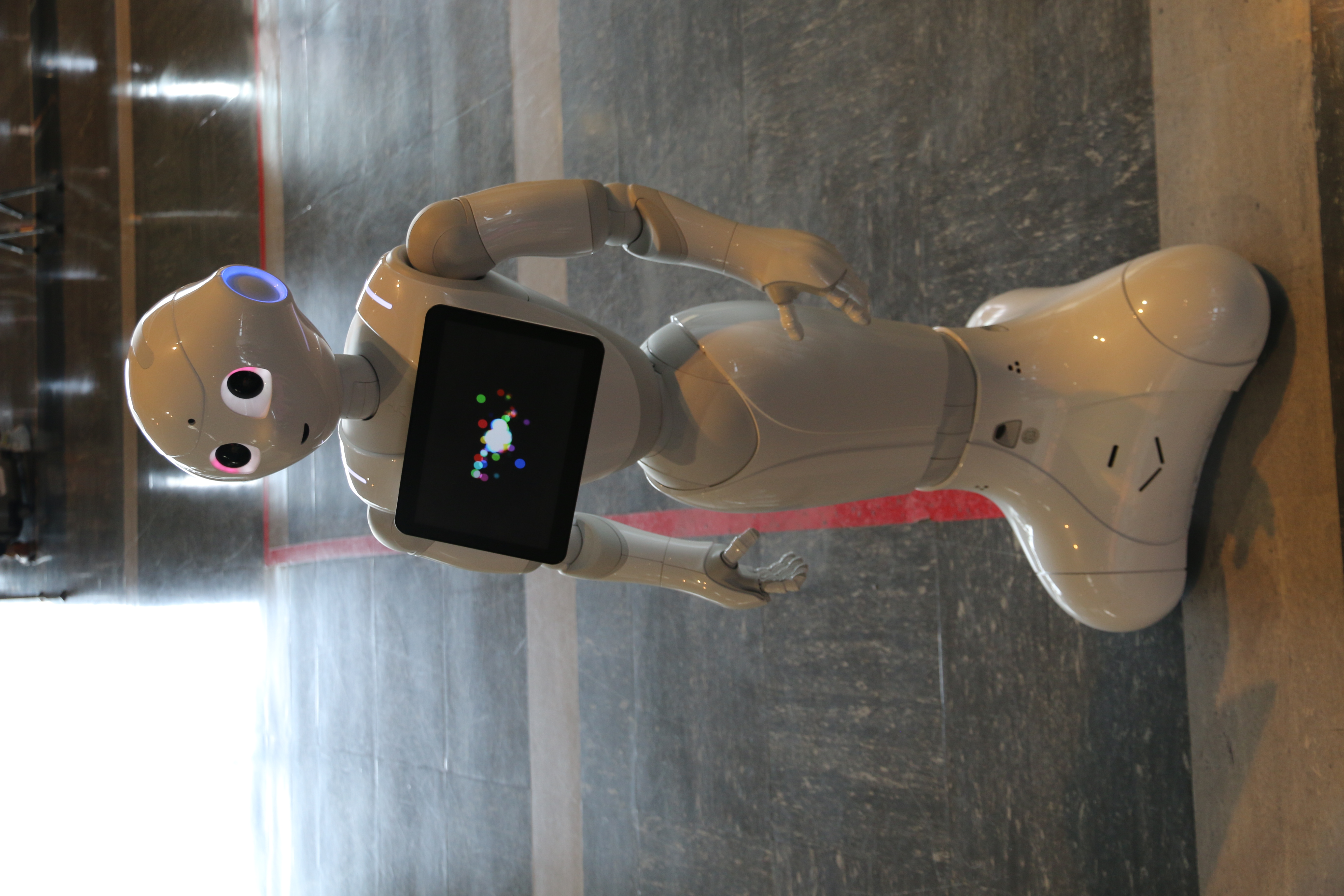 Pepper